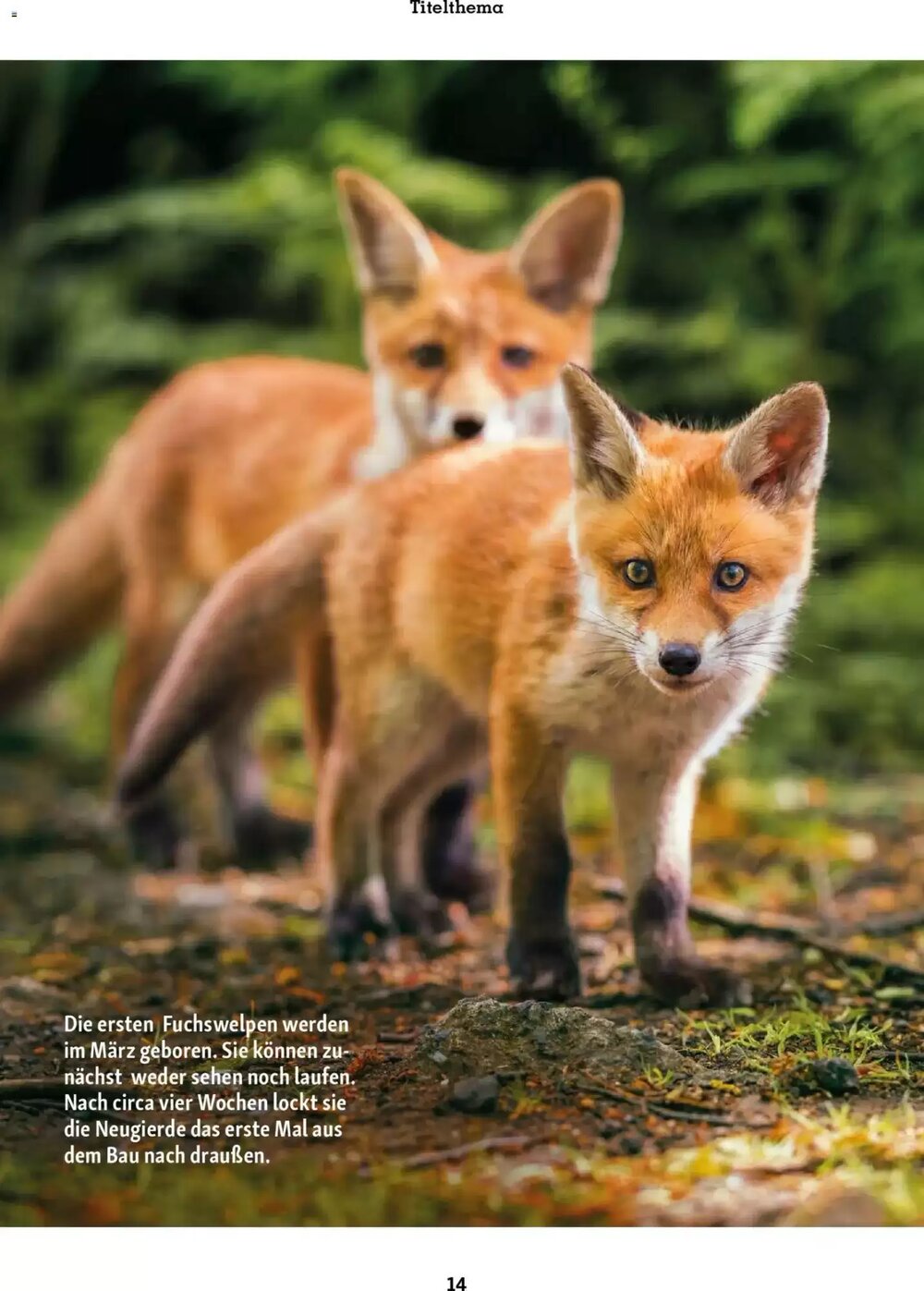 Fressnapf Prospekt (ab 02.03.2026) zum Blättern - Seite 14