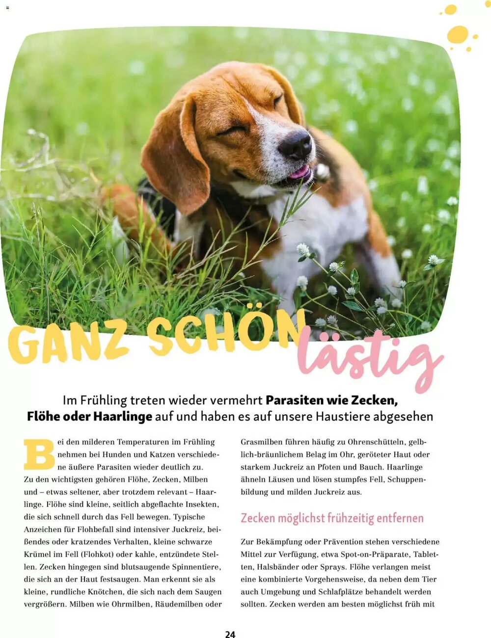 Fressnapf Prospekt (ab 02.03.2026) zum Blättern - Seite 24