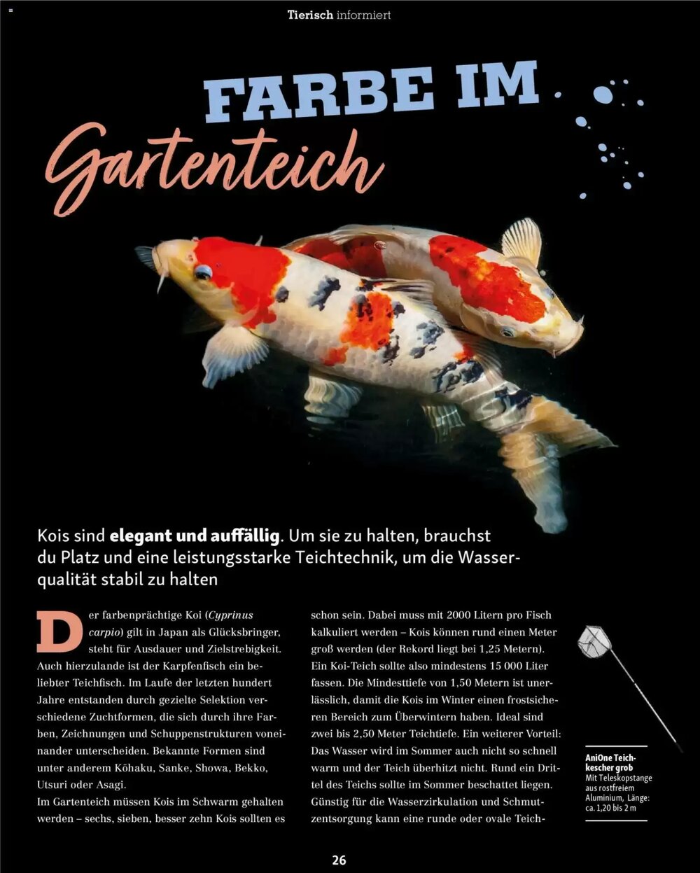 Fressnapf Prospekt (ab 02.03.2026) zum Blättern - Seite 26