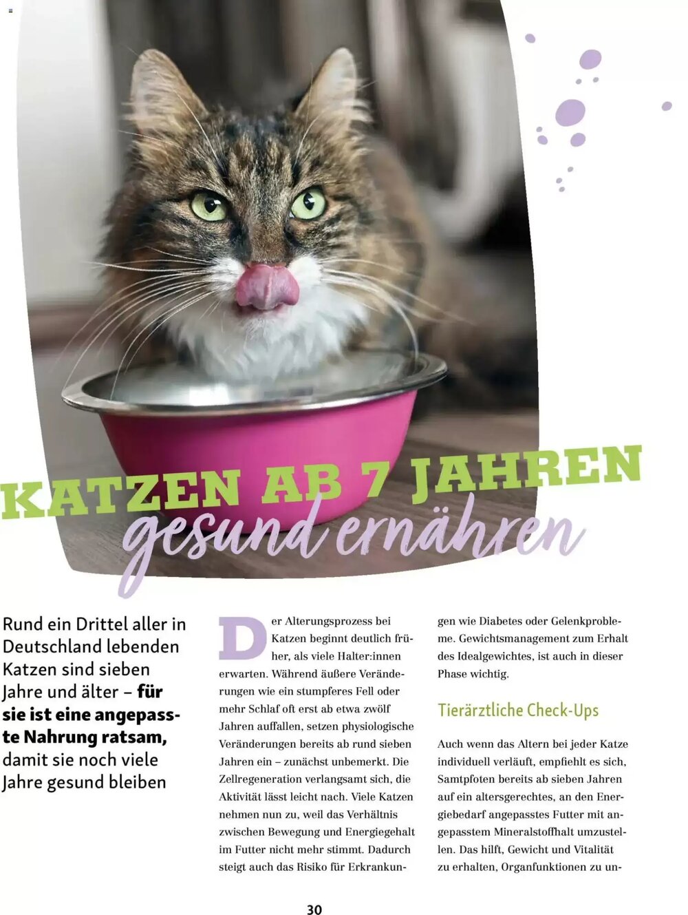 Fressnapf Prospekt (ab 02.03.2026) zum Blättern - Seite 30