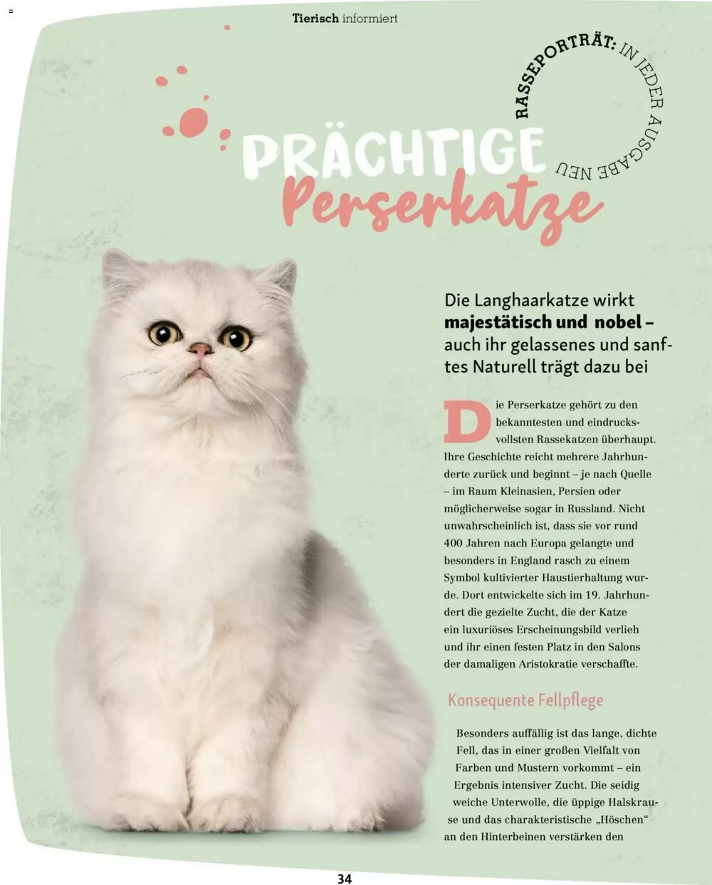 Fressnapf Prospekt (ab 02.03.2026) zum Blättern - Seite 34