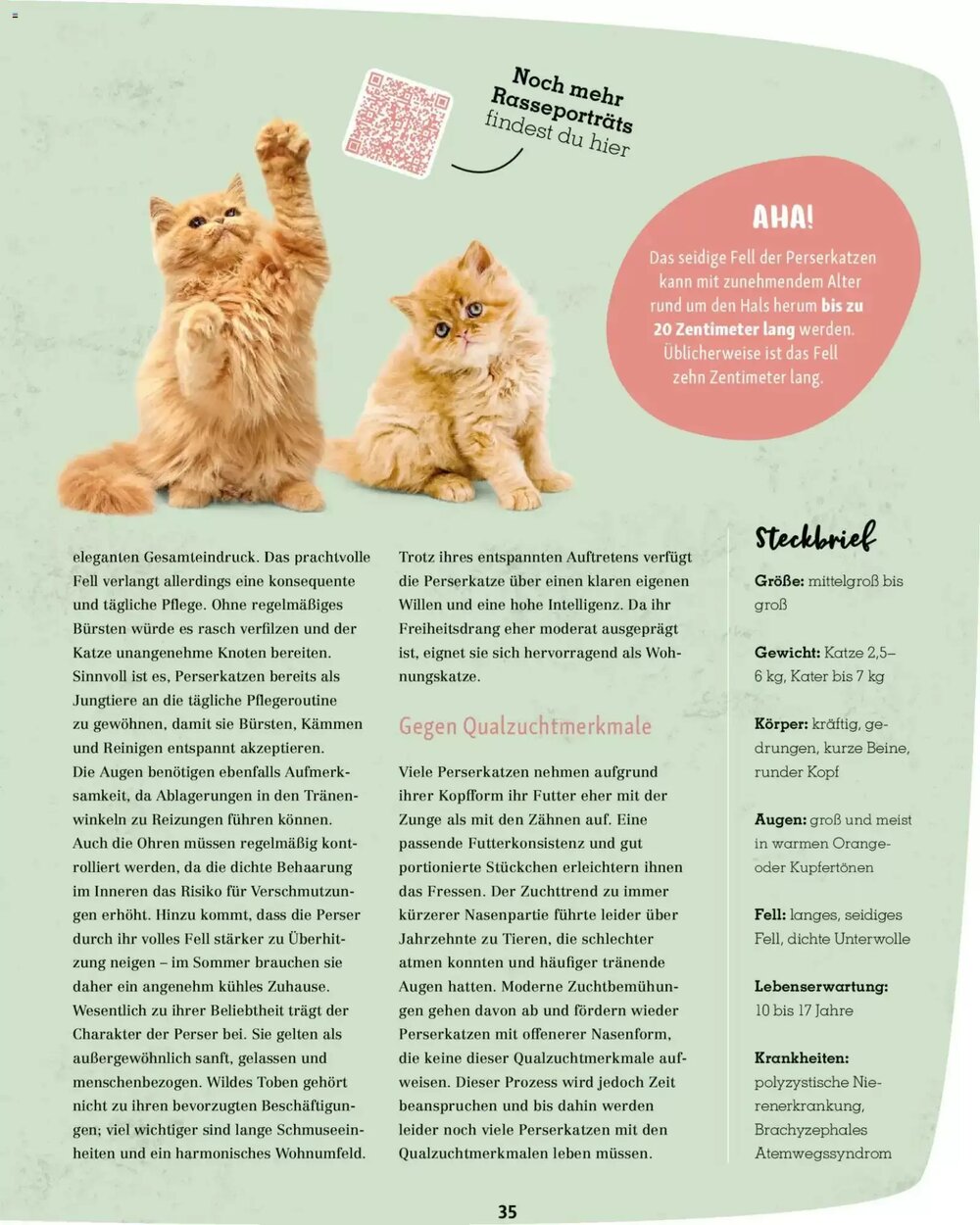 Fressnapf Prospekt (ab 02.03.2026) zum Blättern - Seite 35