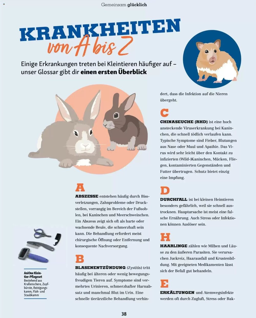 Fressnapf Prospekt (ab 02.03.2026) zum Blättern - Seite 38