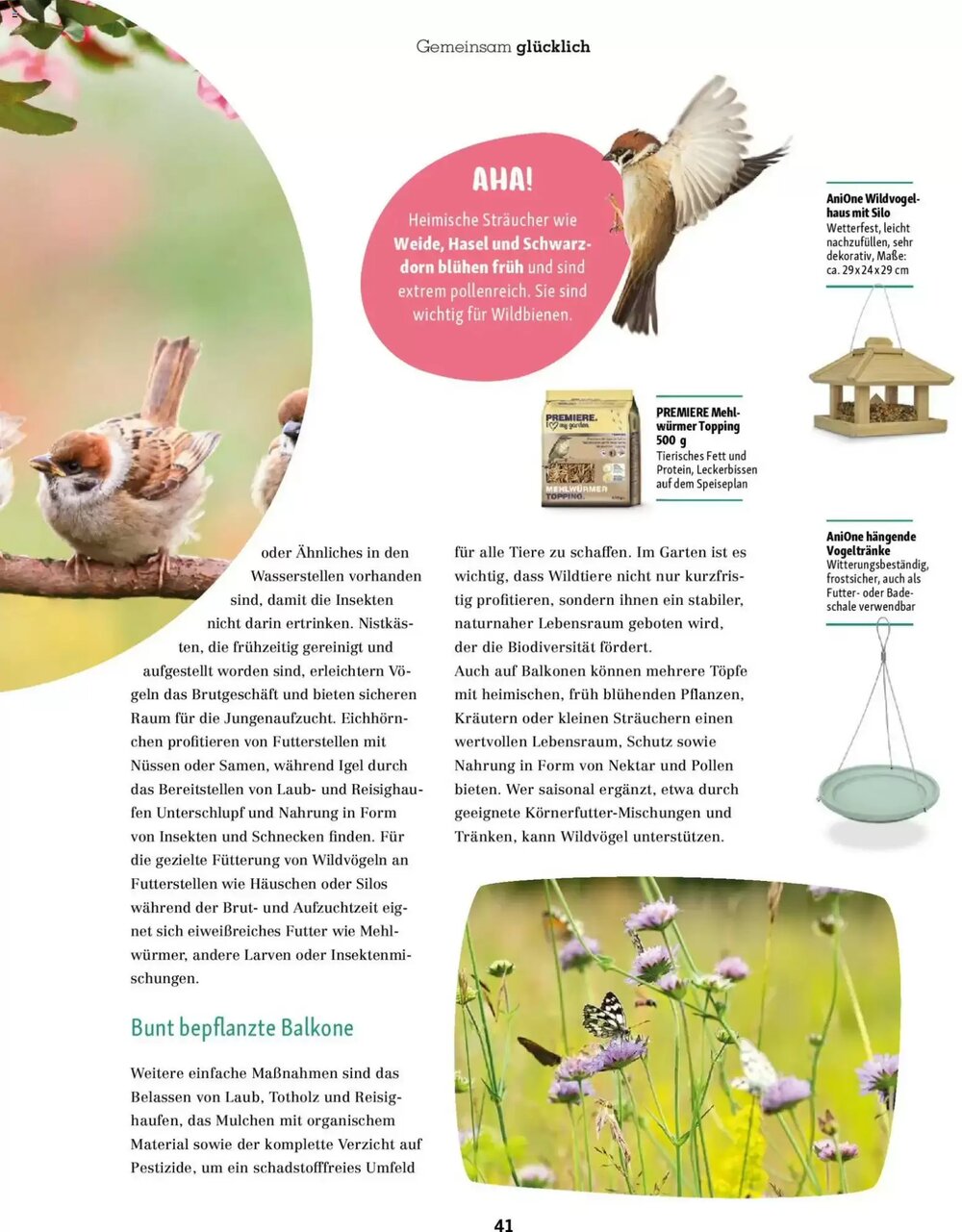 Fressnapf Prospekt (ab 02.03.2026) zum Blättern - Seite 41