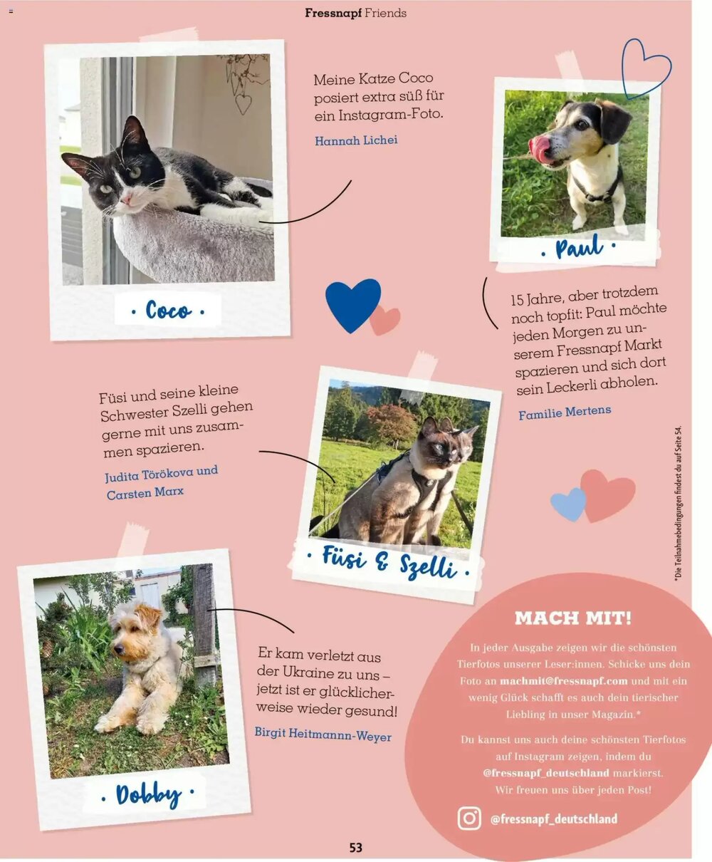 Fressnapf Prospekt (ab 02.03.2026) zum Blättern - Seite 53