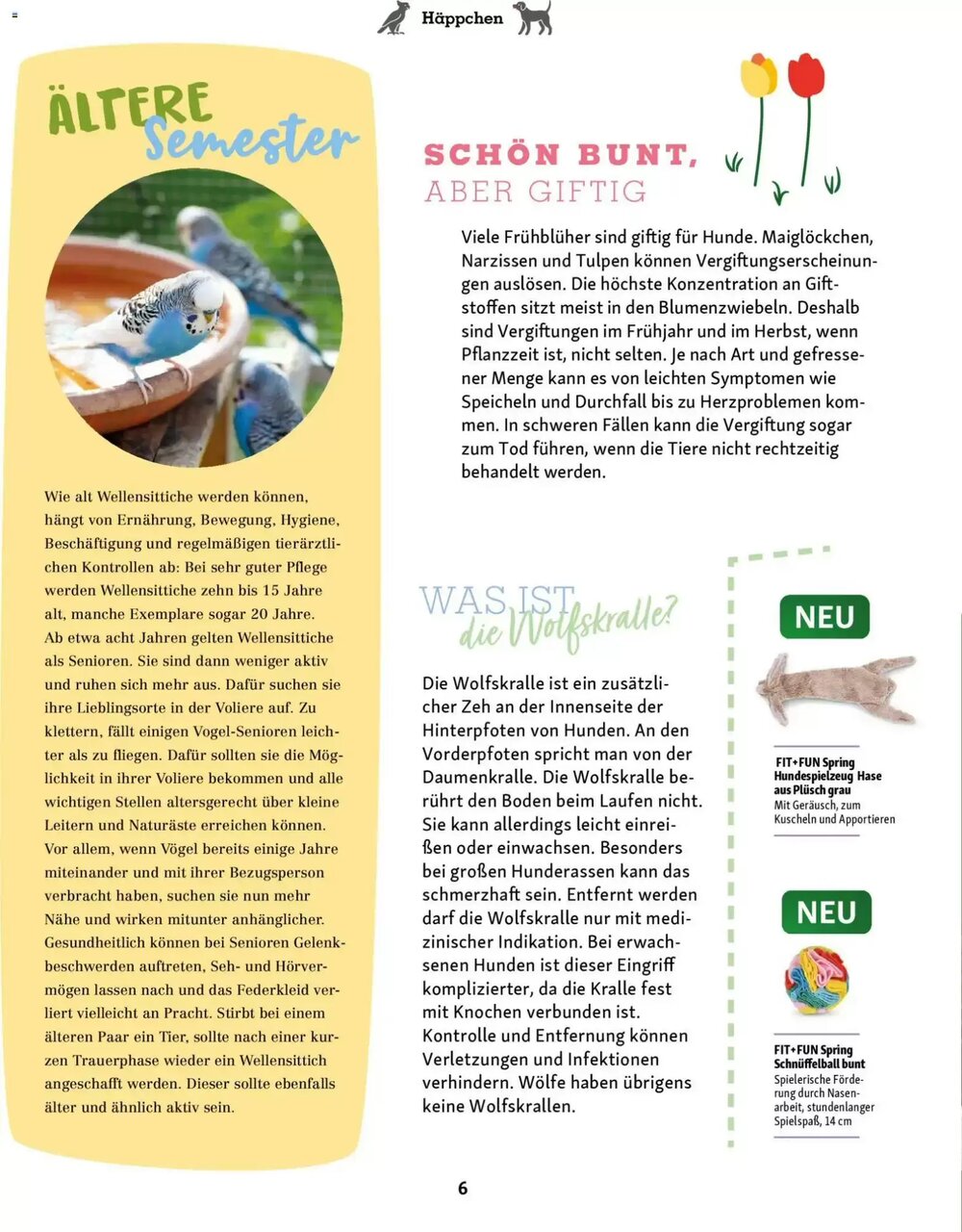 Fressnapf Prospekt (ab 02.03.2026) zum Blättern - Seite 6