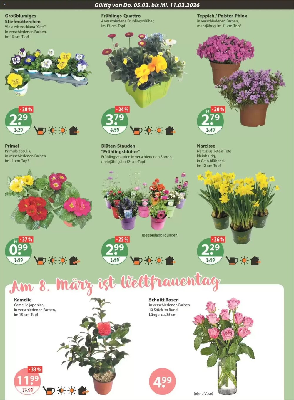 V Markt Prospekt (ab 05.03.2026) zum Blättern - Seite 14