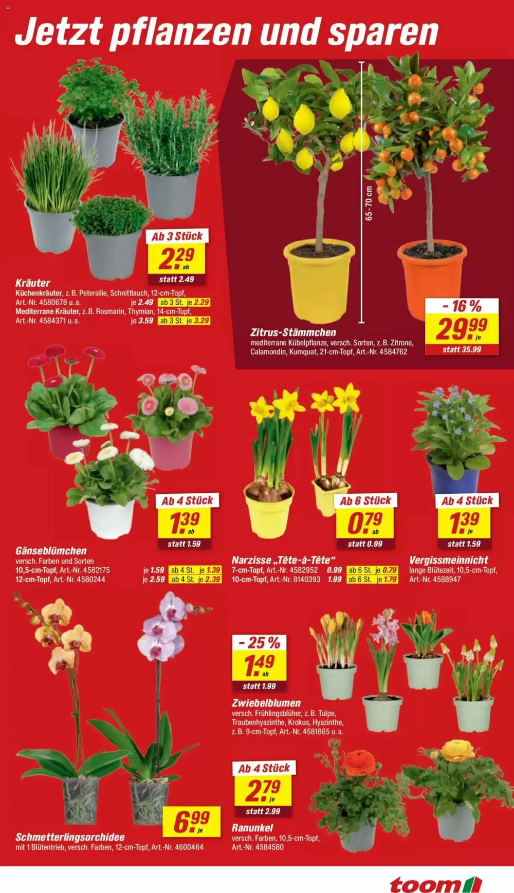 toom Baumarkt Prospekt (ab 07.03.2026) zum Blättern - Seite 3