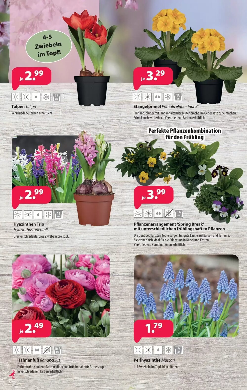 Kiebitzmarkt Prospekt (ab 07.03.2026) zum Blättern - Seite 10