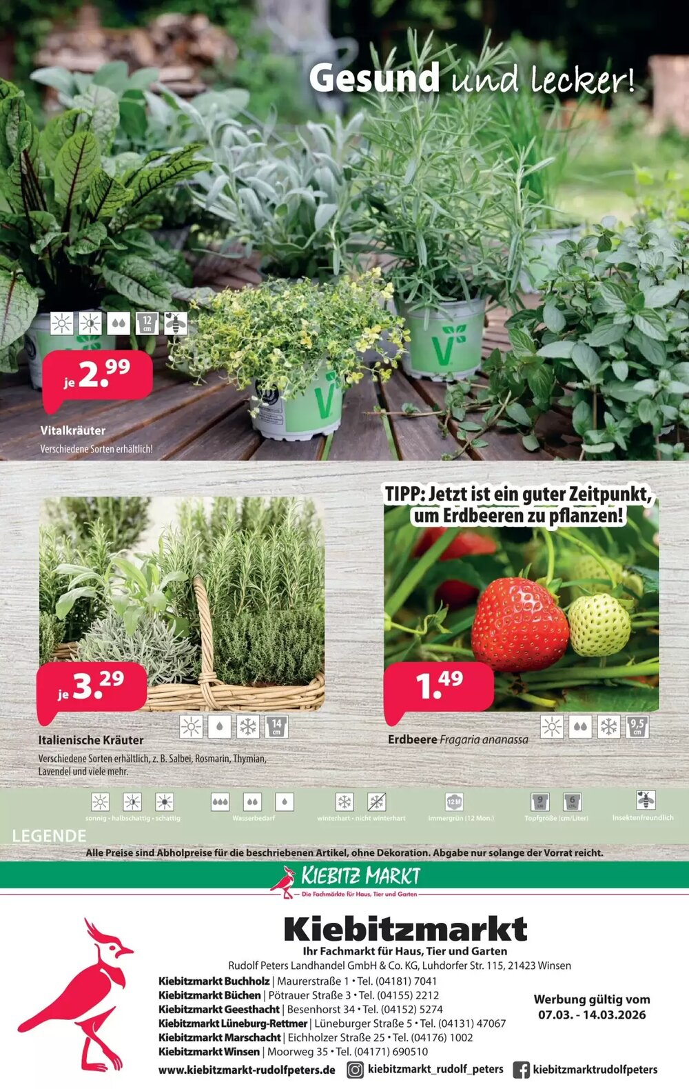 Kiebitzmarkt Prospekt (ab 07.03.2026) zum Blättern - Seite 12