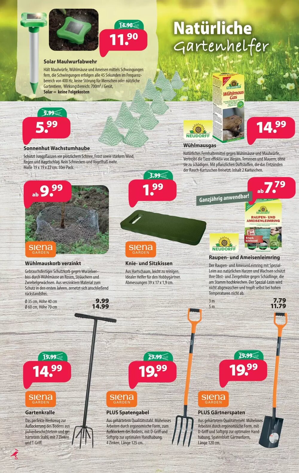 Kiebitzmarkt Prospekt (ab 07.03.2026) zum Blättern - Seite 4