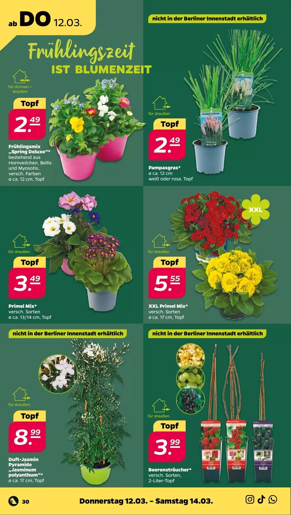 NETTO Prospekt (ab 09.03.2026) zum Blättern - Seite 36