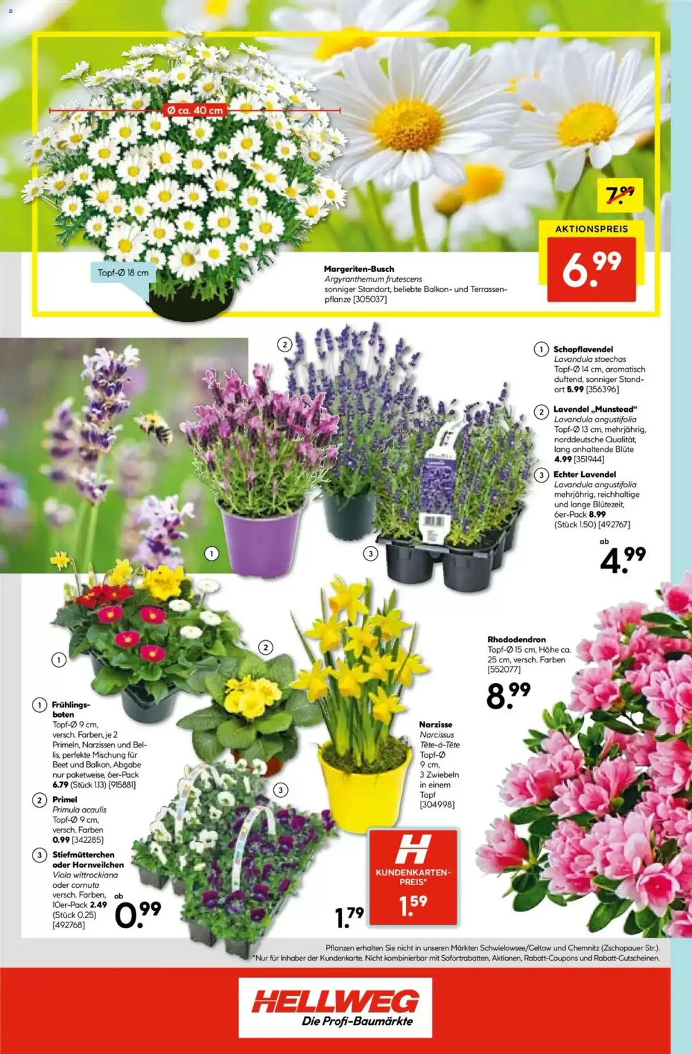 Hellweg Prospekt (ab 09.03.2026) zum Blättern - Seite 16