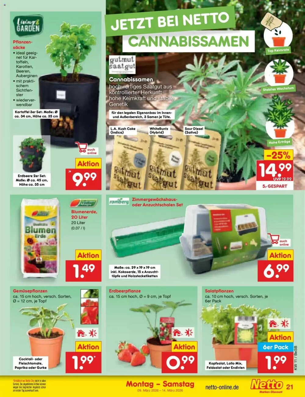 Netto Marken-Discount Prospekt (ab 09.03.2026) zum Blättern - Seite 31