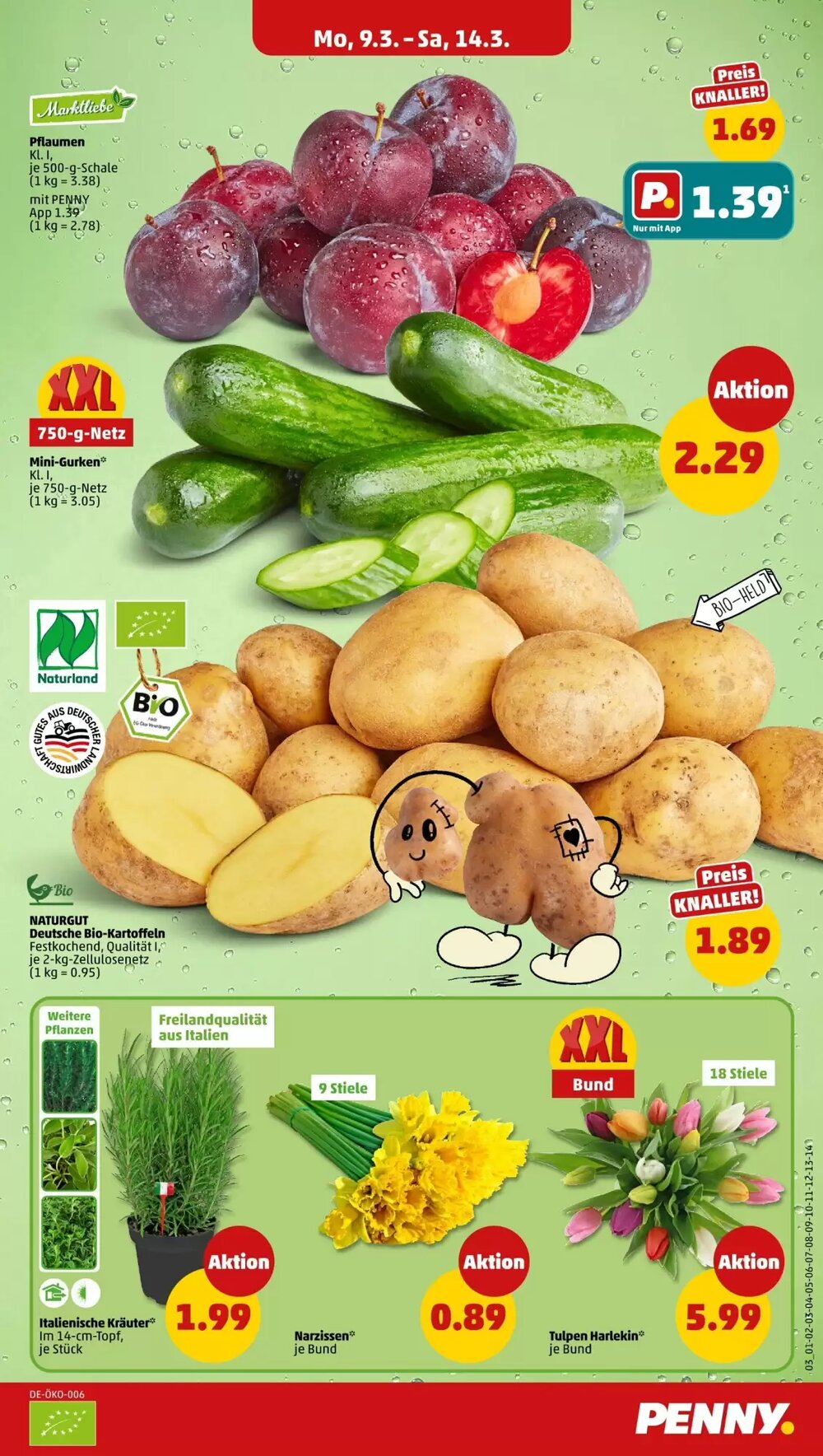 PENNY Prospekt (ab 09.03.2026) zum Blättern - Seite 3