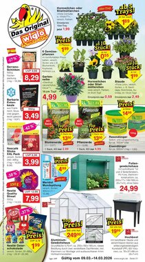 Wiglo Wunderland Prospekt (ab 09.03.2026) zum Blättern