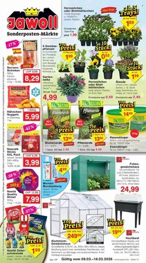 Jawoll Prospekt (ab 09.03.2026) zum Blättern