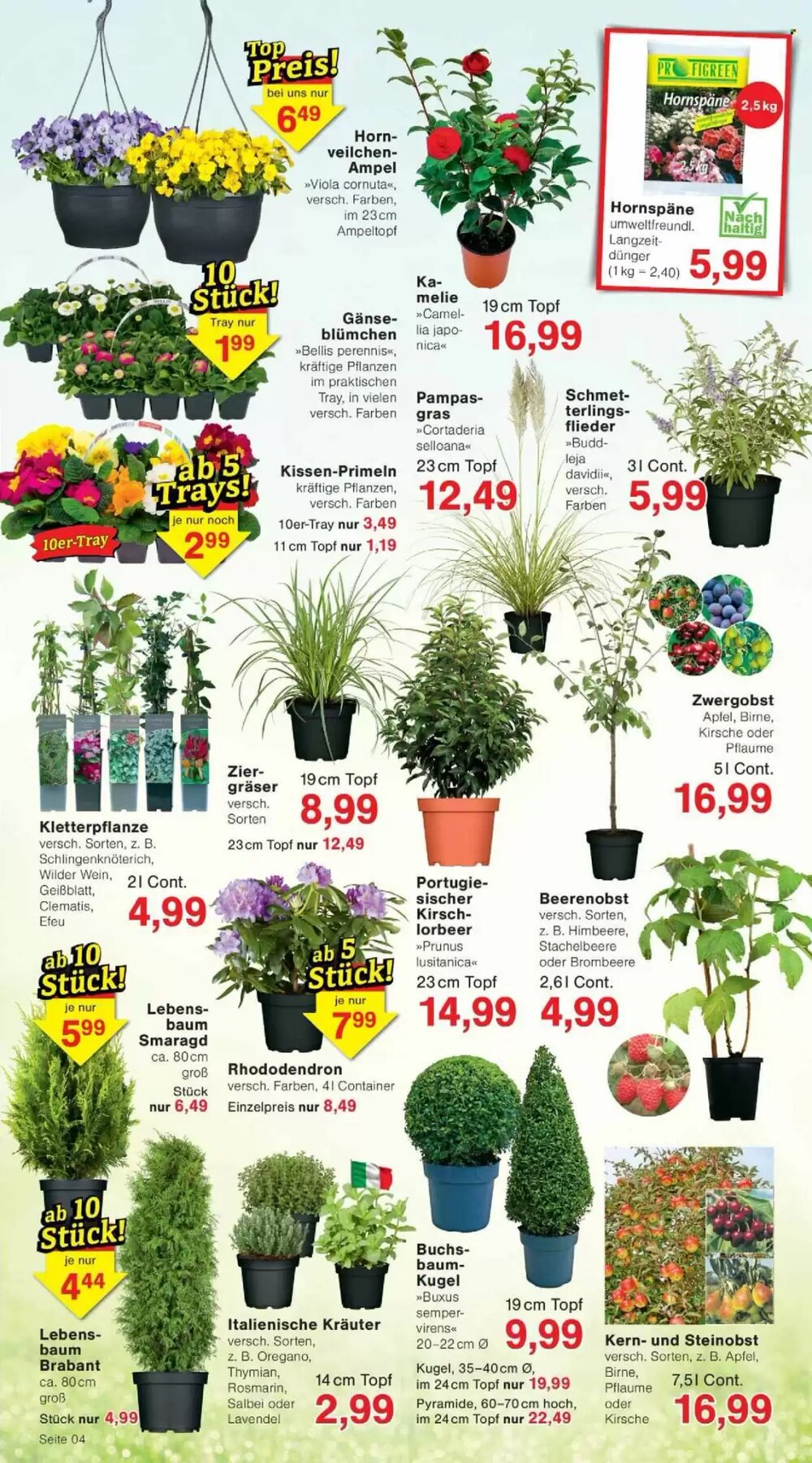 Jawoll Prospekt (ab 09.03.2026) zum Blättern - Seite 4