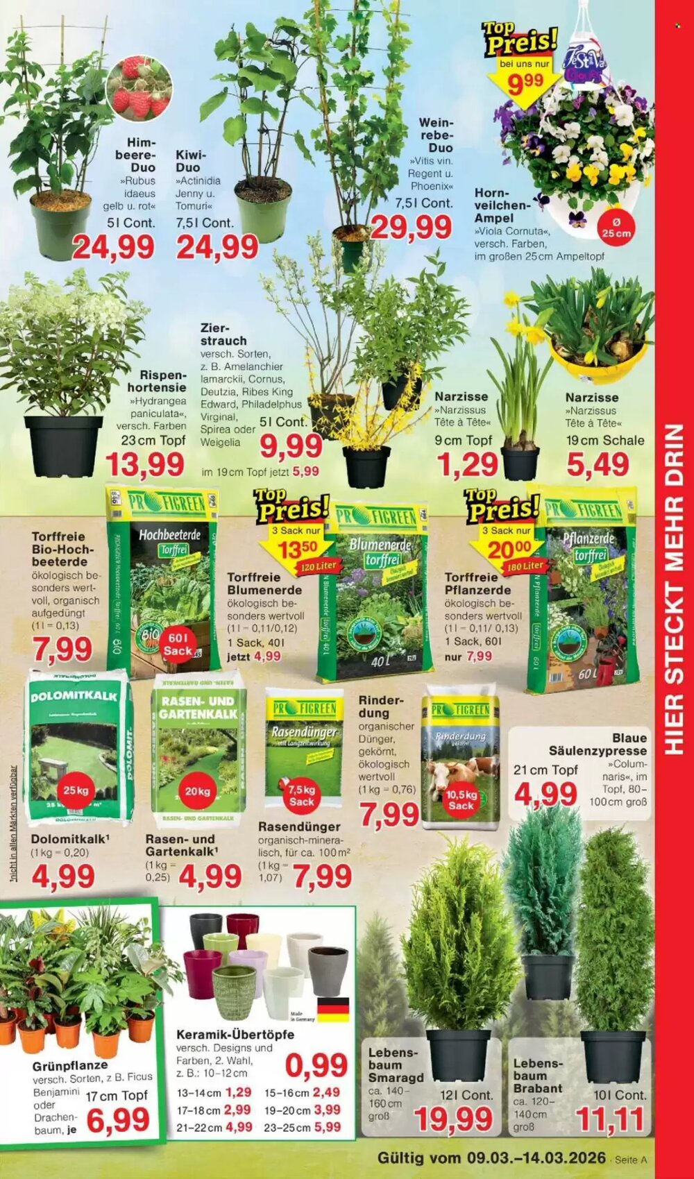 Jawoll Prospekt (ab 09.03.2026) zum Blättern - Seite 5