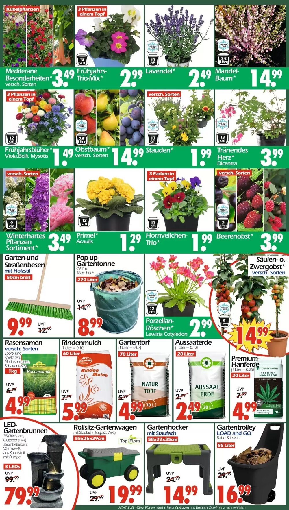 Wreesmann Prospekt (ab 09.03.2026) zum Blättern - Seite 3