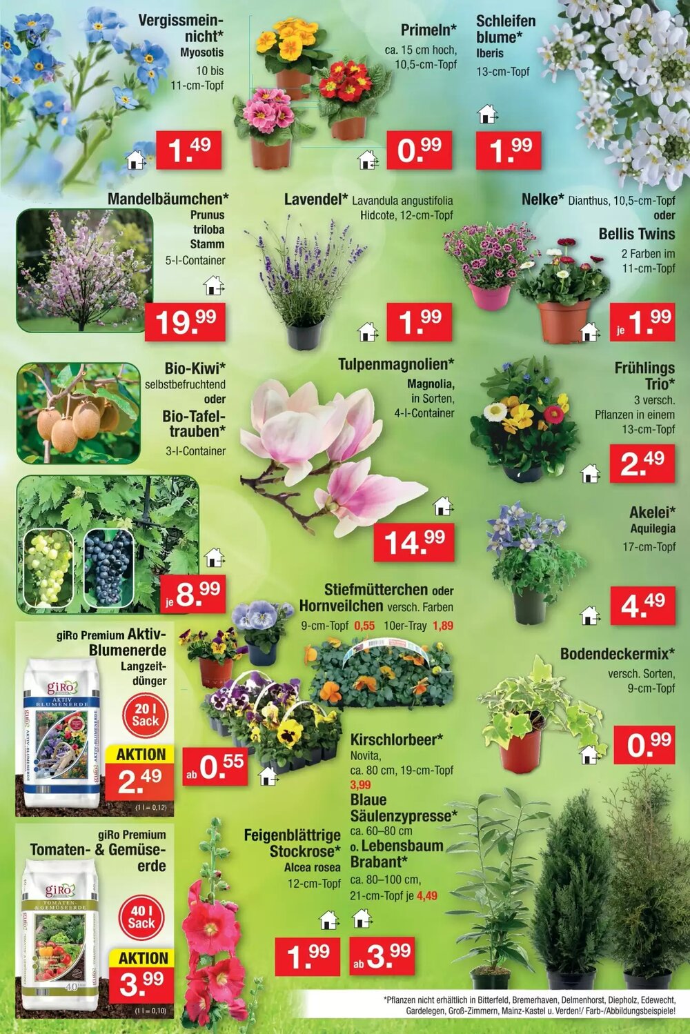 Zimmermann Prospekt (ab 09.03.2026) zum Blättern - Seite 16