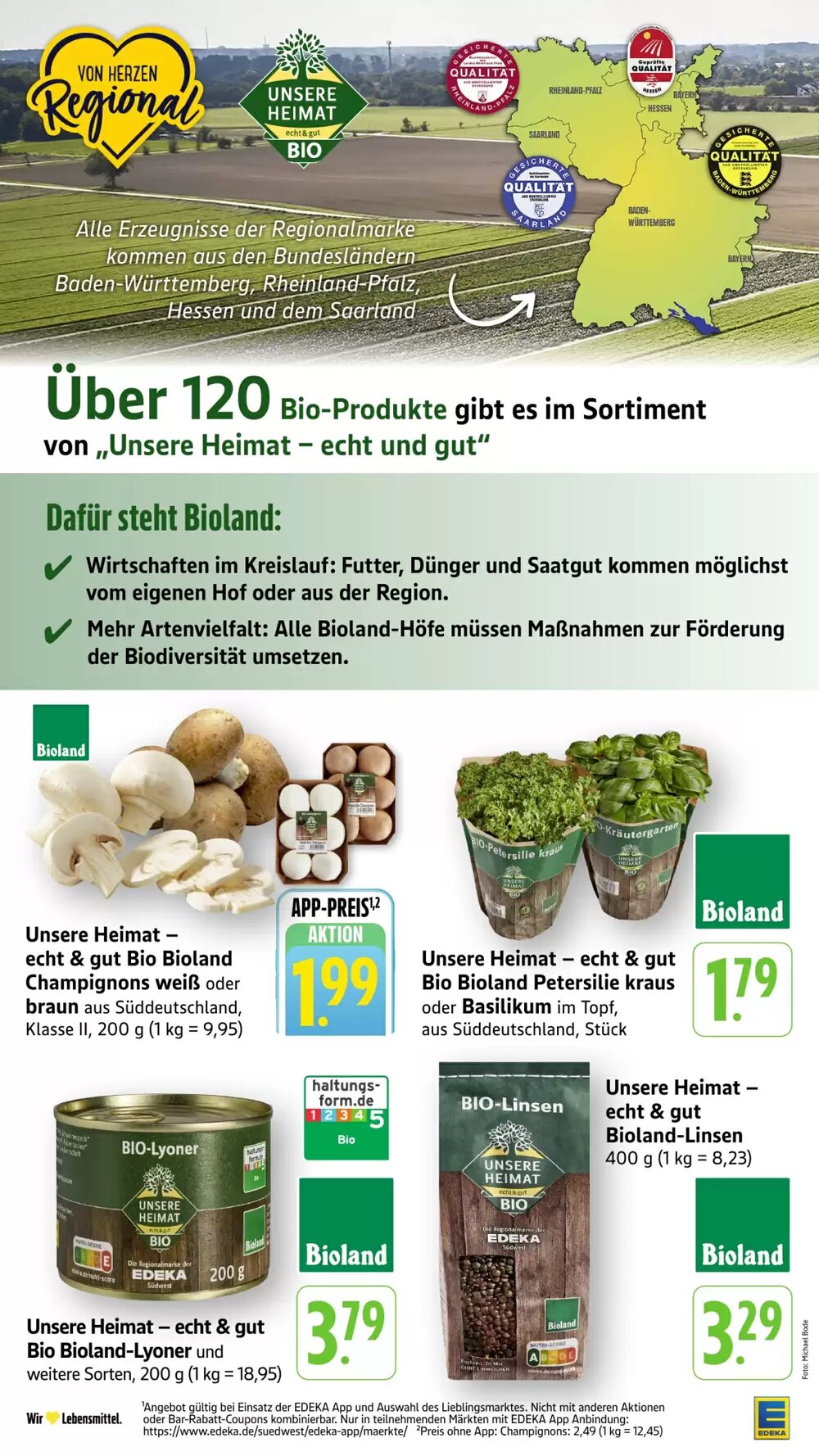 Edeka Stenger Prospekt (ab 09.03.2026) zum Blättern - Seite 19