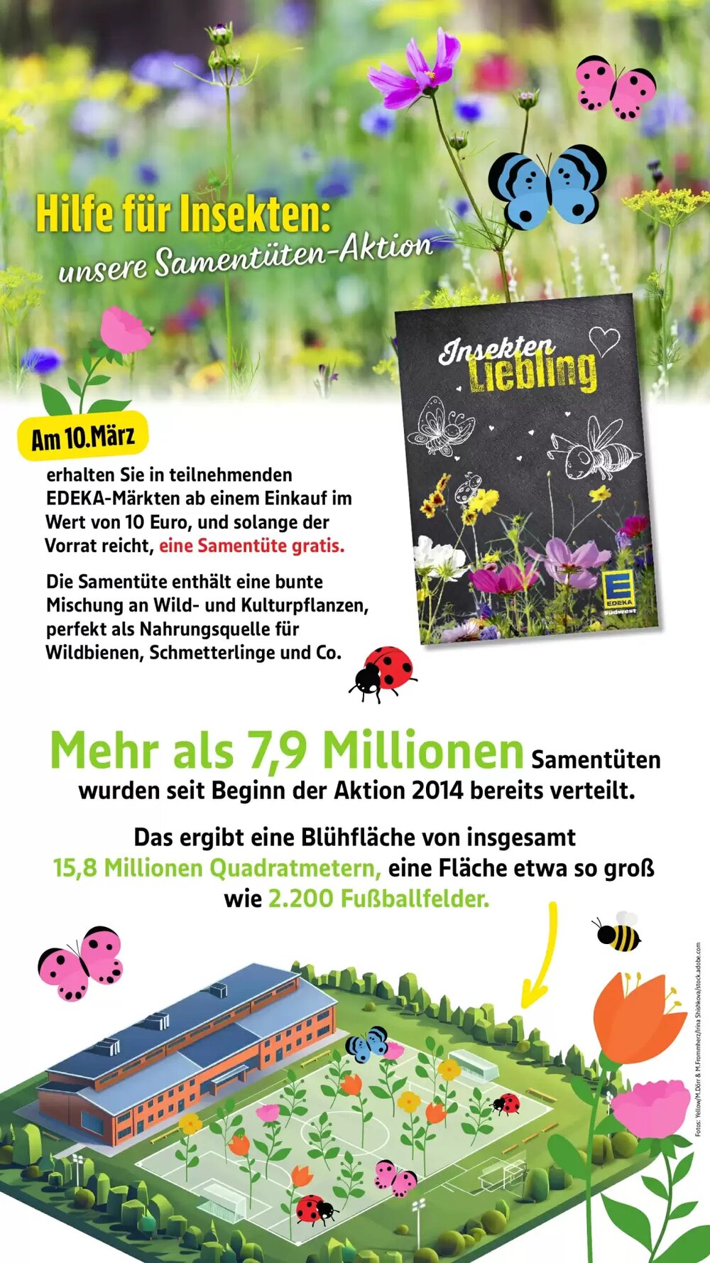 Edeka Stenger Prospekt (ab 09.03.2026) zum Blättern - Seite 6