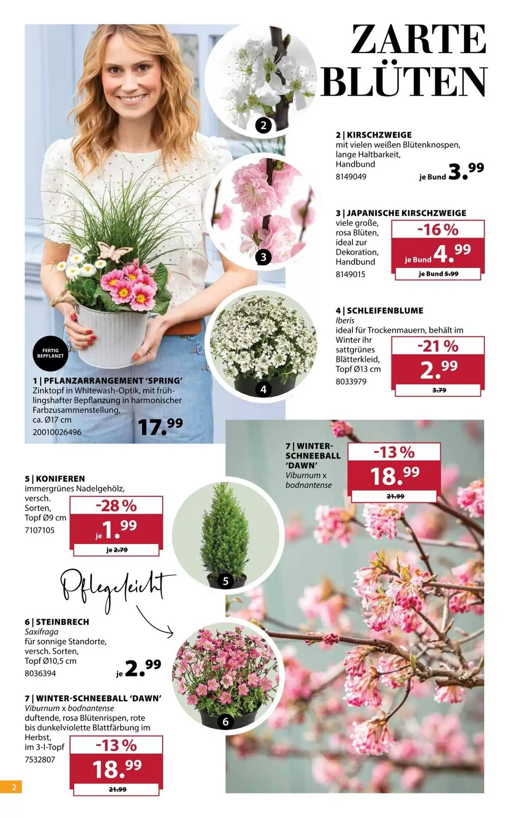 Dehner Prospekt (ab 11.03.2026) zum Blättern - Seite 2