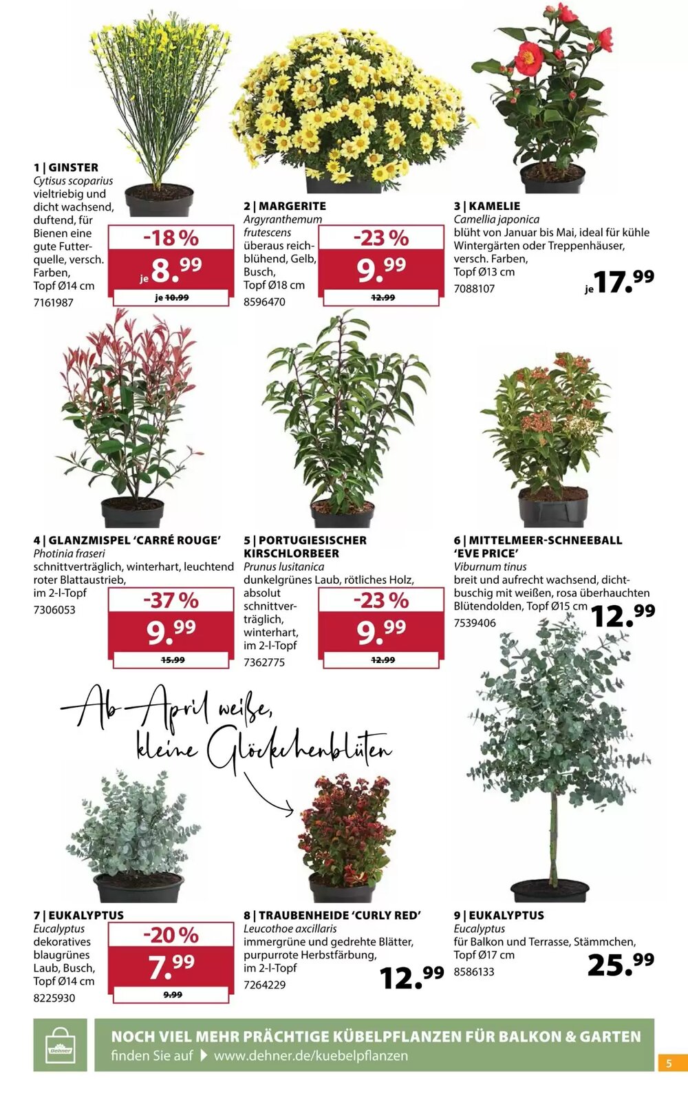 Dehner Prospekt (ab 11.03.2026) zum Blättern - Seite 5