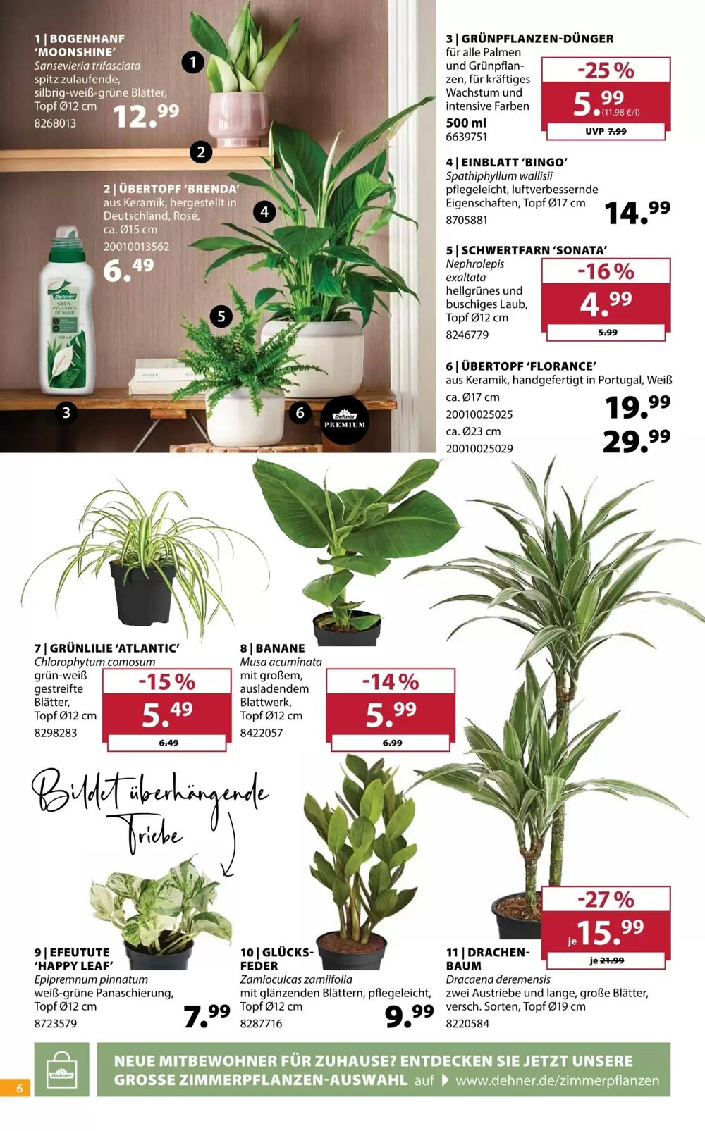 Dehner Prospekt (ab 11.03.2026) zum Blättern - Seite 6