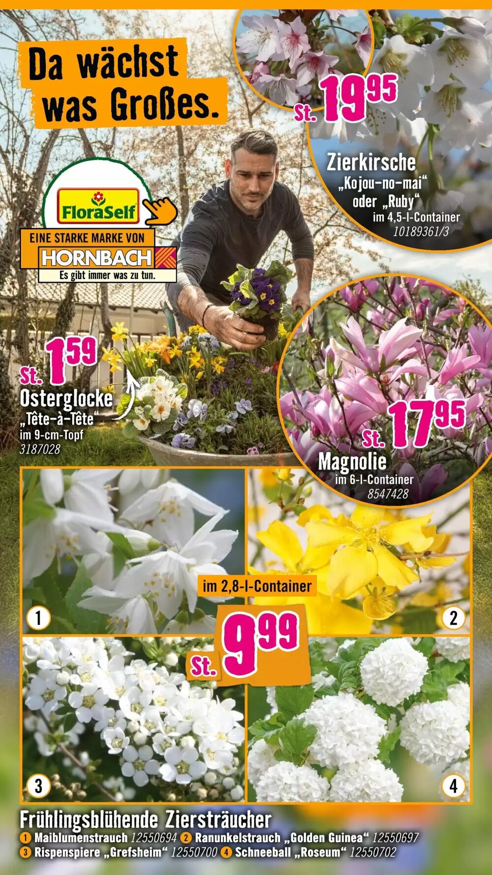 Hornbach Prospekt (ab 11.03.2026) zum Blättern - Seite 2