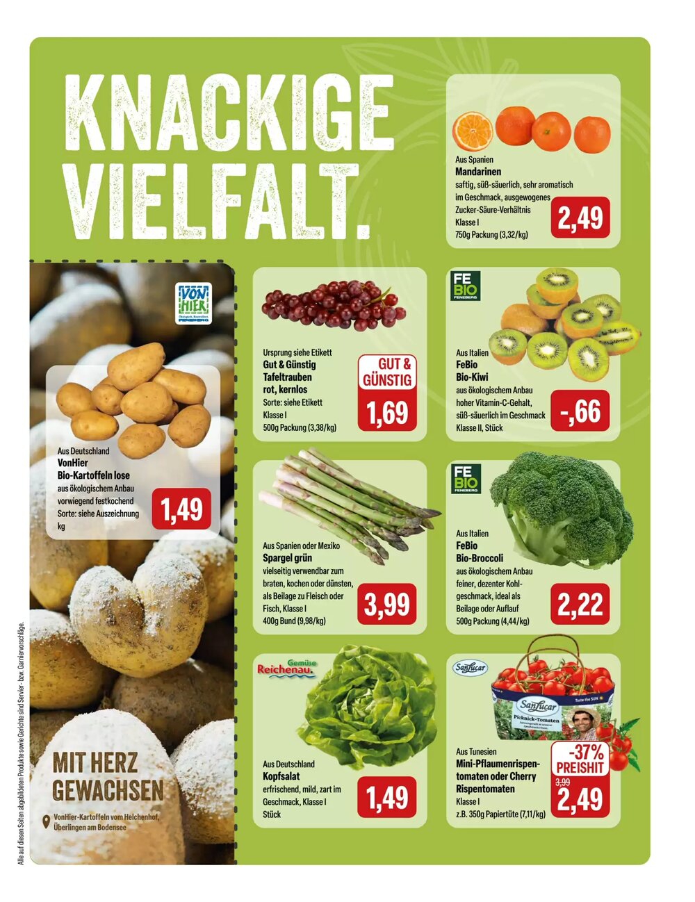 Feneberg Prospekt (ab 12.03.2026) zum Blättern - Seite 5