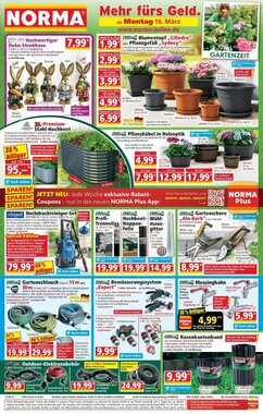 Norma Prospekt (ab 16.03.2026) zum Blättern