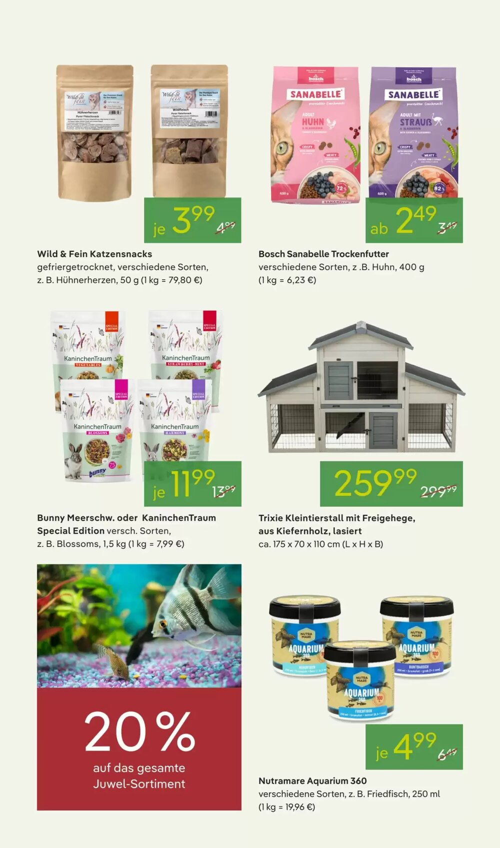 Pflanzen Kölle Prospekt (ab 16.03.2026) zum Blättern - Seite 13