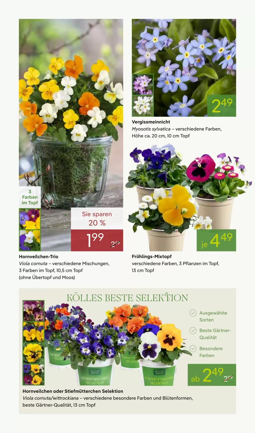 Pflanzen Kölle Prospekt (ab 16.03.2026) zum Blättern - Seite 2