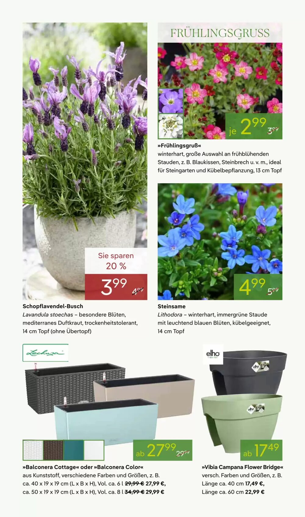 Pflanzen Kölle Prospekt (ab 16.03.2026) zum Blättern - Seite 4
