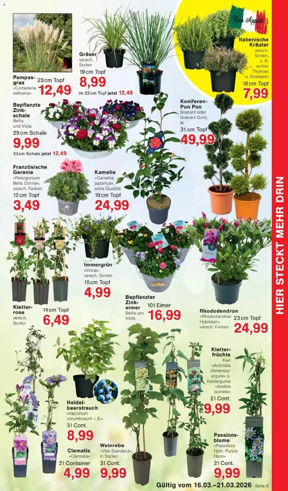 Jawoll Prospekt (ab 16.03.2026) zum Blättern - Seite 7