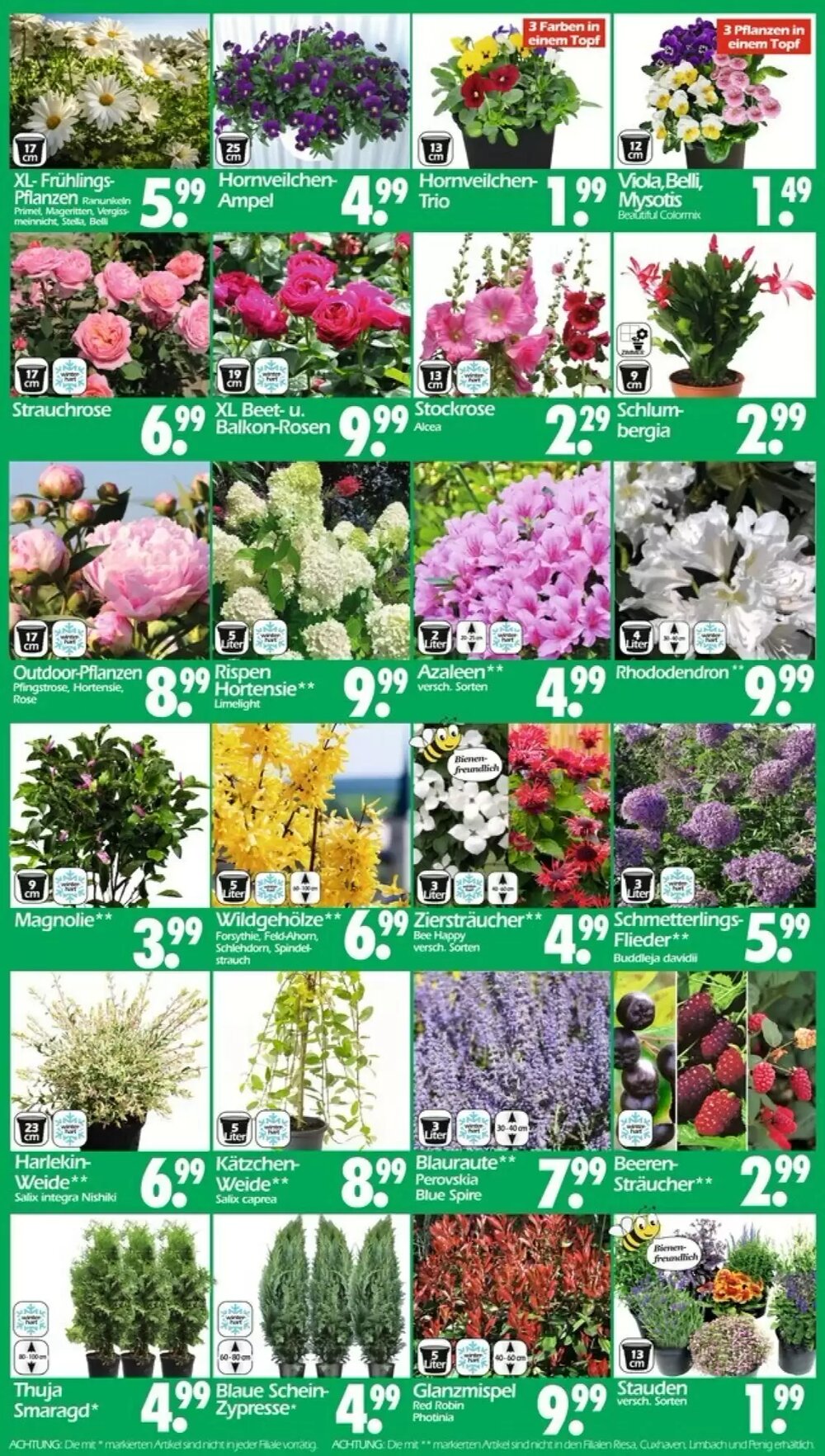 Wreesmann Prospekt (ab 16.03.2026) zum Blättern - Seite 3