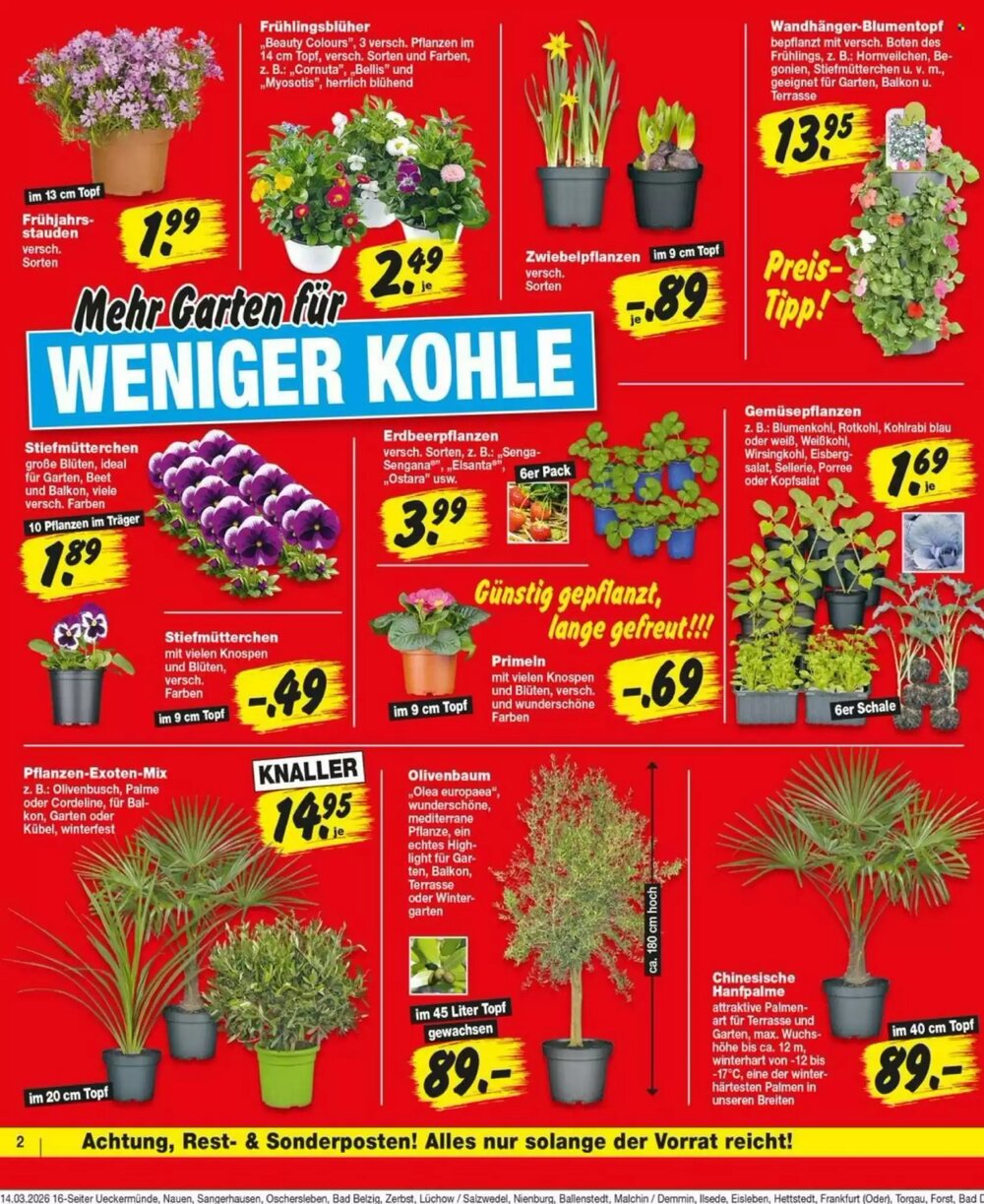 Repo Markt Prospekt (ab 16.03.2026) zum Blättern - Seite 2