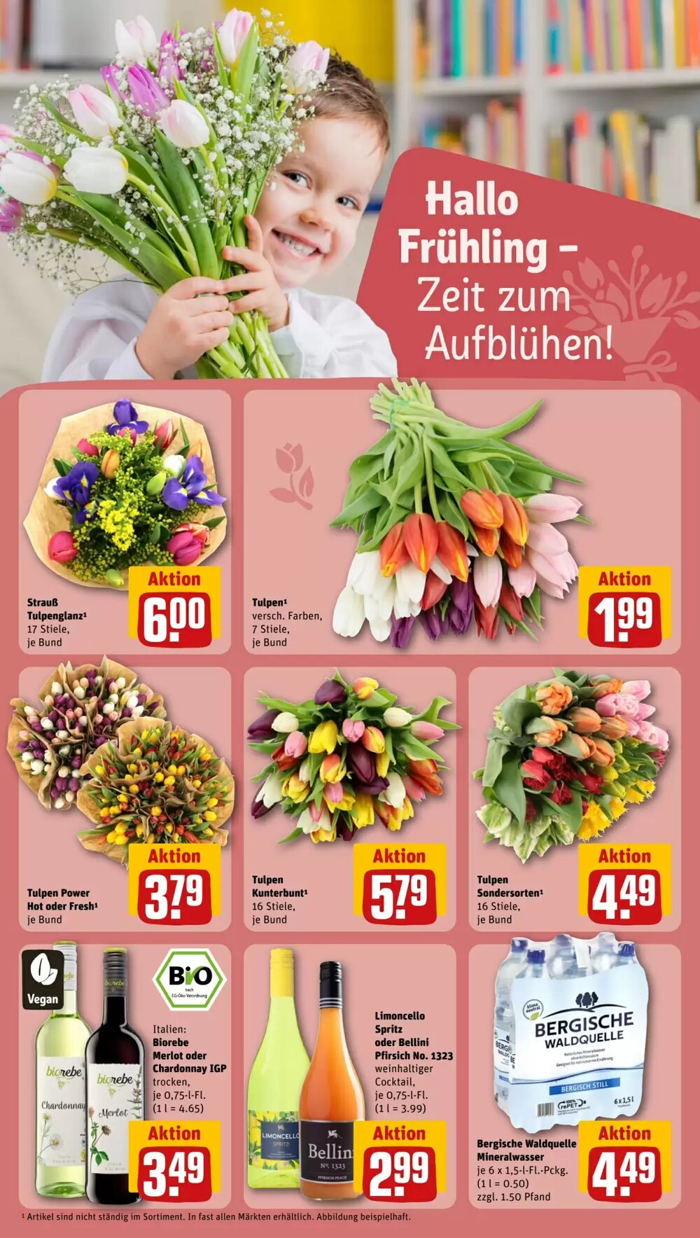 REWE PETZ Prospekt (ab 16.03.2026) zum Blättern - Seite 24