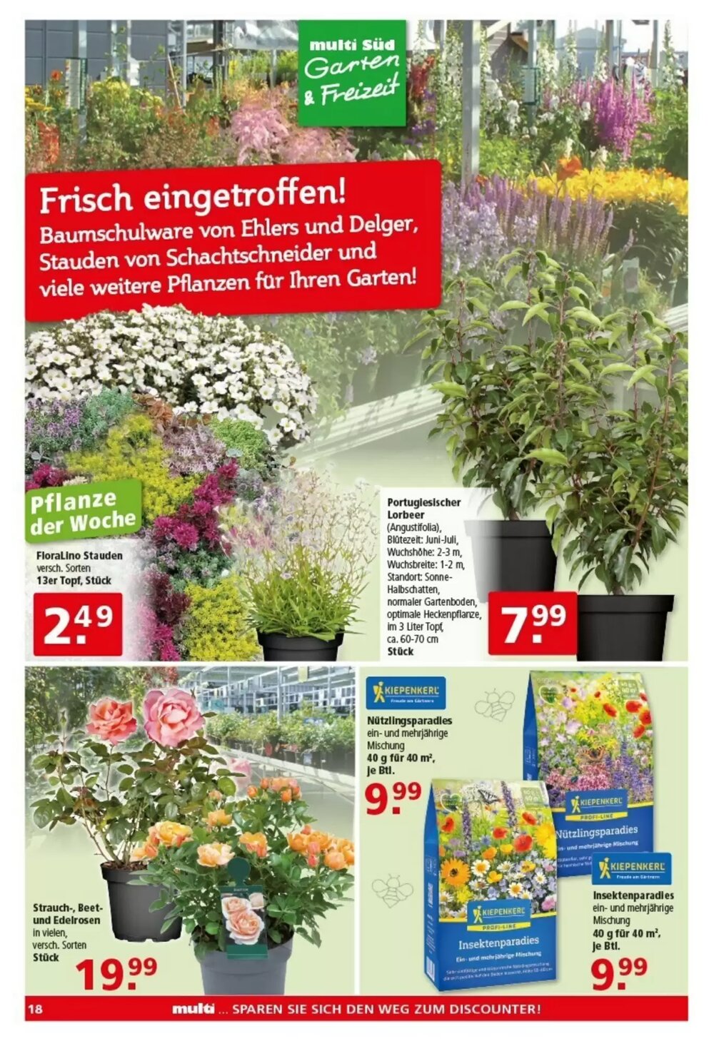 Multi Markt Prospekt (ab 16.03.2026) zum Blättern - Seite 18