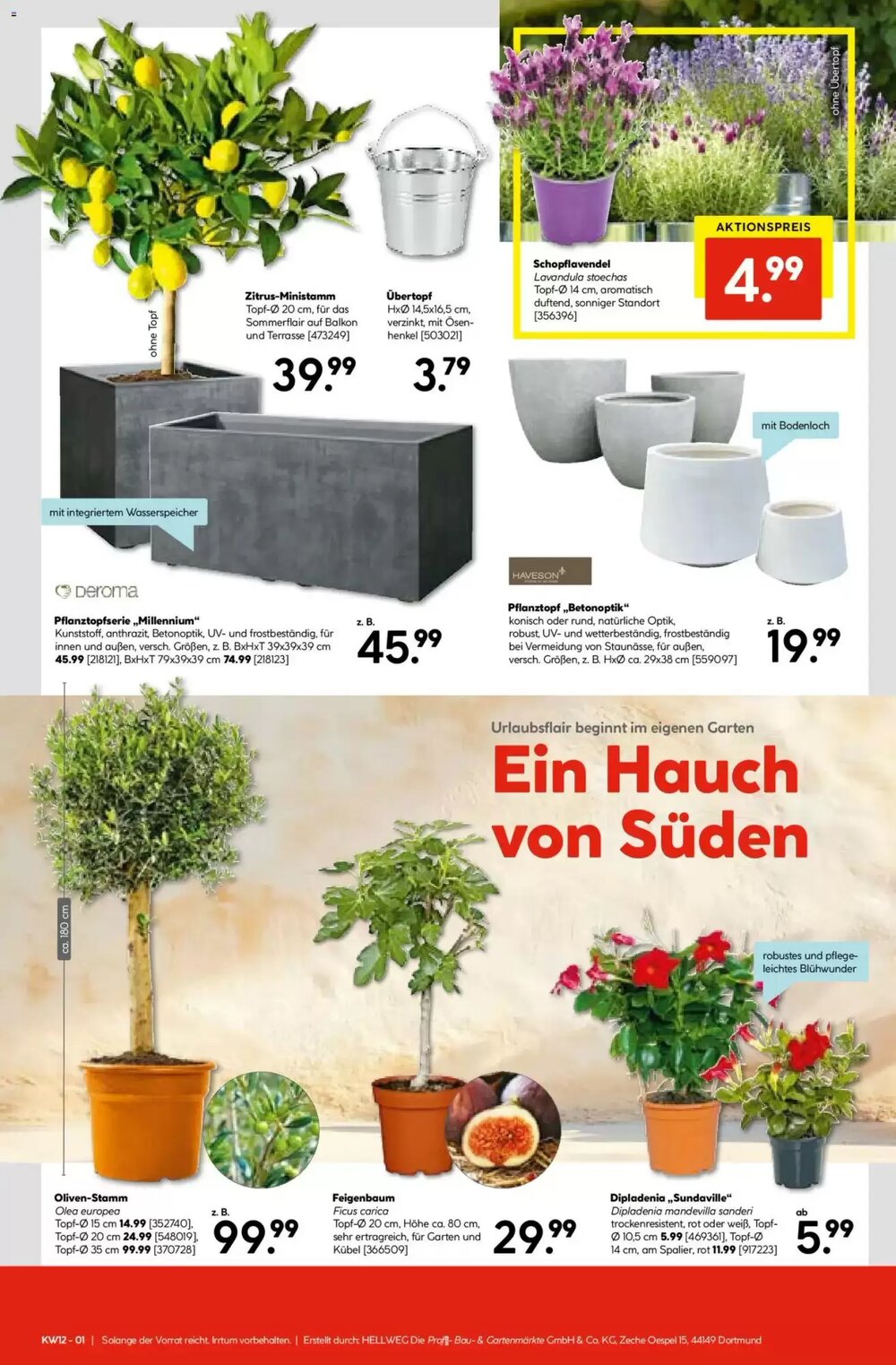 Hellweg Prospekt (ab 16.03.2026) zum Blättern - Seite 17