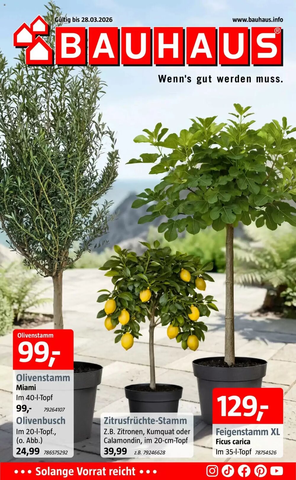 Bauhaus Prospekt (ab 16.03.2026) zum Blättern - Seite 1