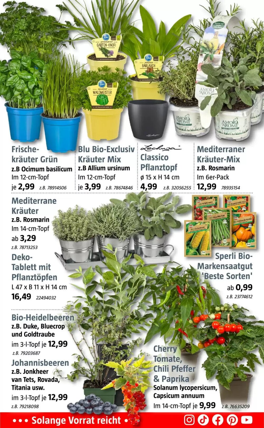 Bauhaus Prospekt (ab 16.03.2026) zum Blättern - Seite 3