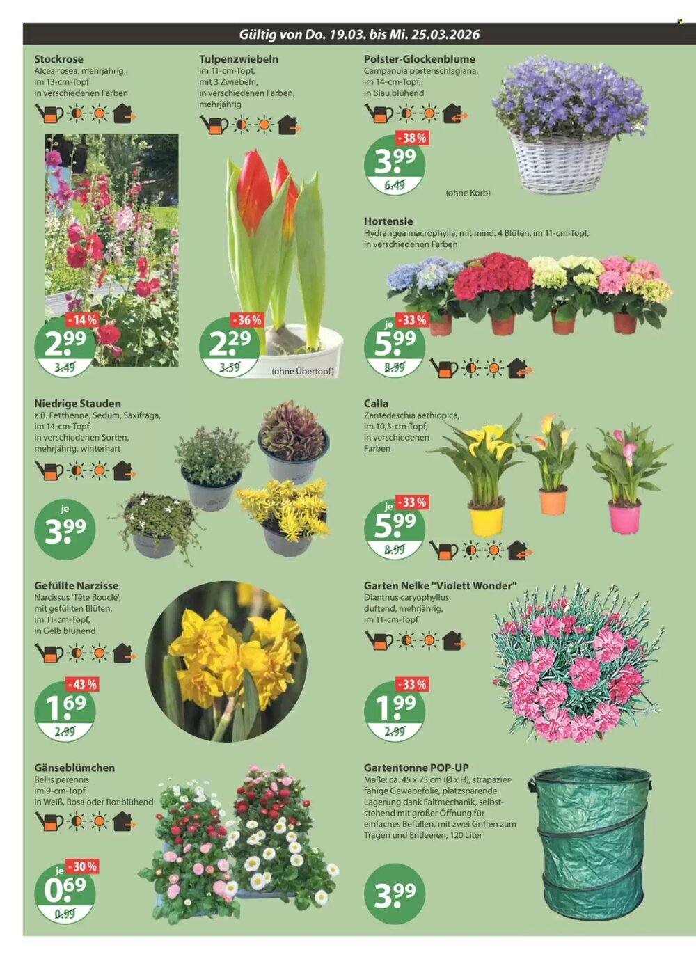 V Markt Prospekt (ab 19.03.2026) zum Blättern - Seite 18