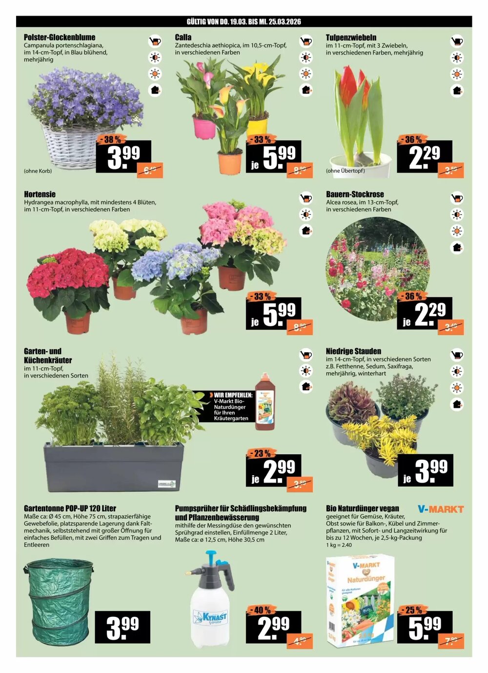 V Baumarkt Prospekt (ab 19.03.2026) zum Blättern - Seite 2