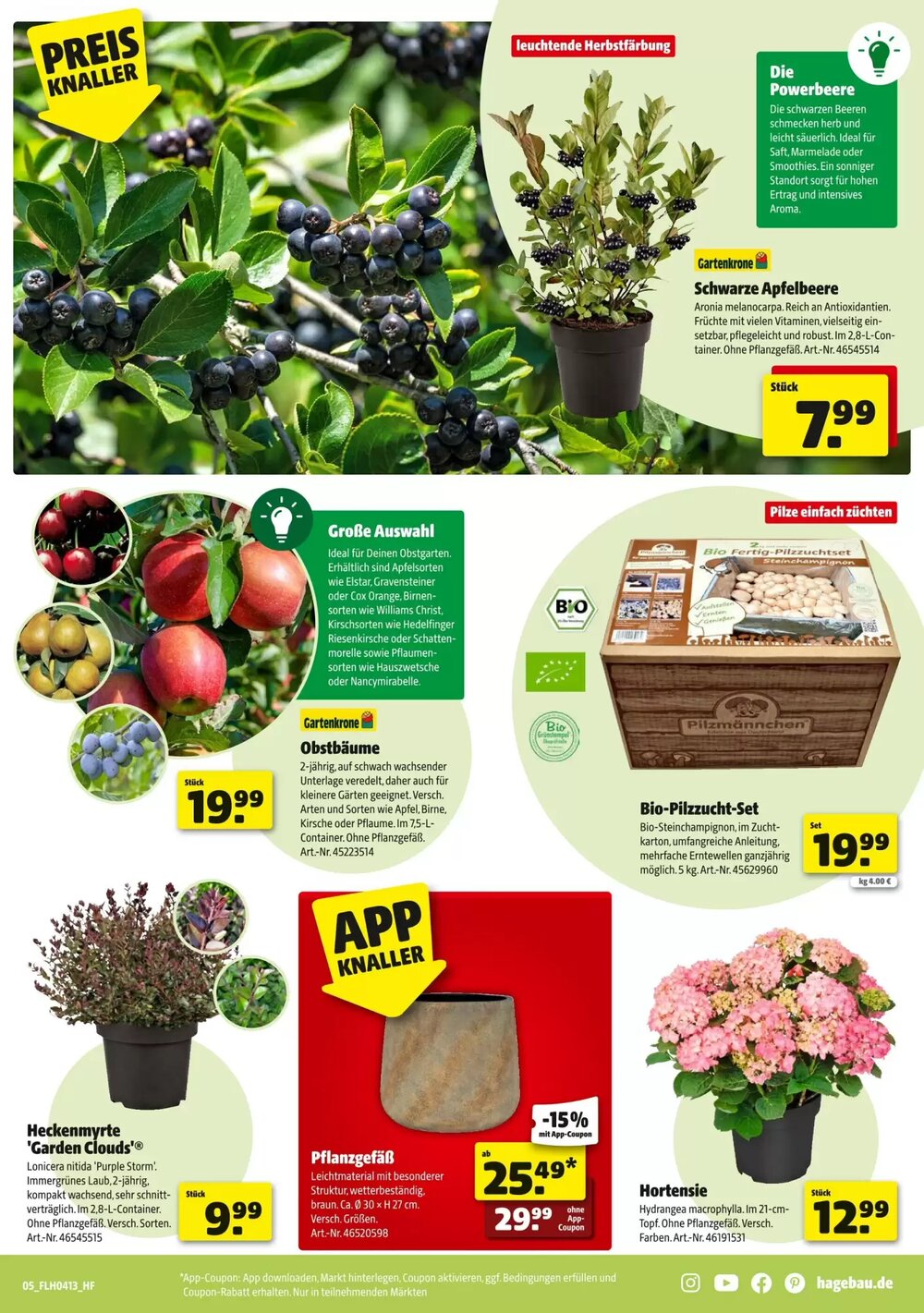 Hagebau Prospekt (ab 21.03.2026) zum Blättern - Seite 5