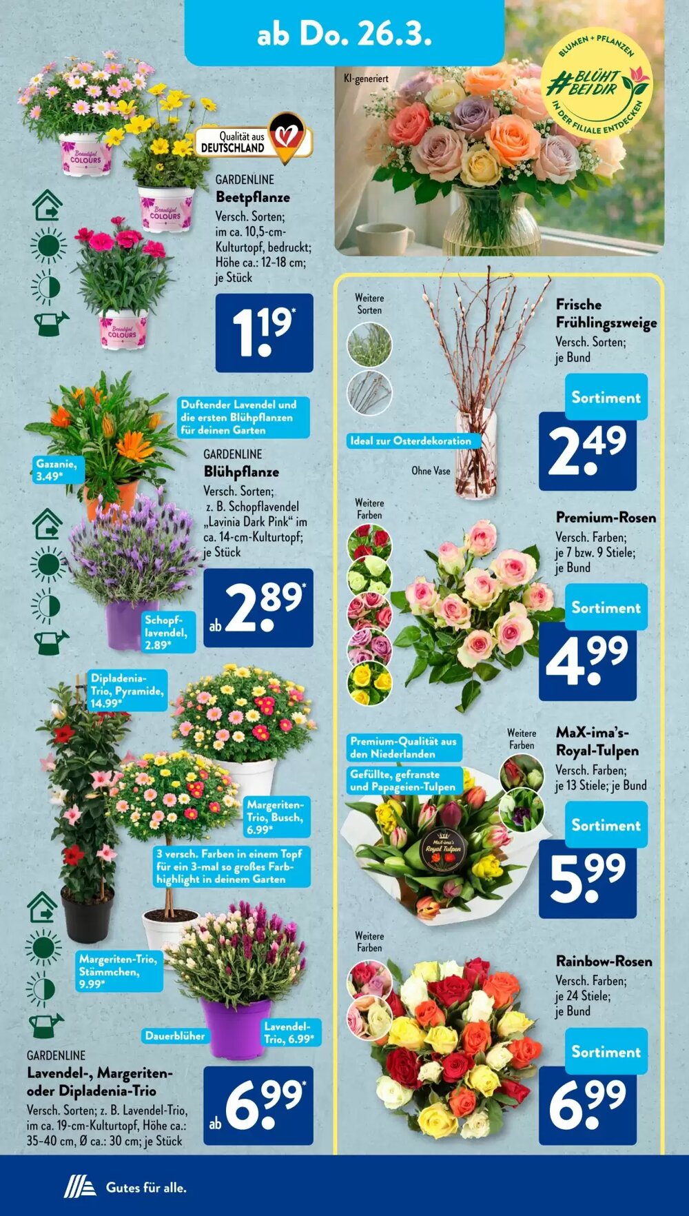 Aldi Süd Prospekt (ab 23.03.2026) zum Blättern - Seite 11