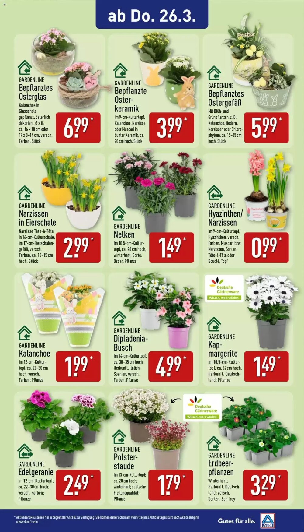 Aldi Nord Prospekt (ab 23.03.2026) zum Blättern - Seite 12