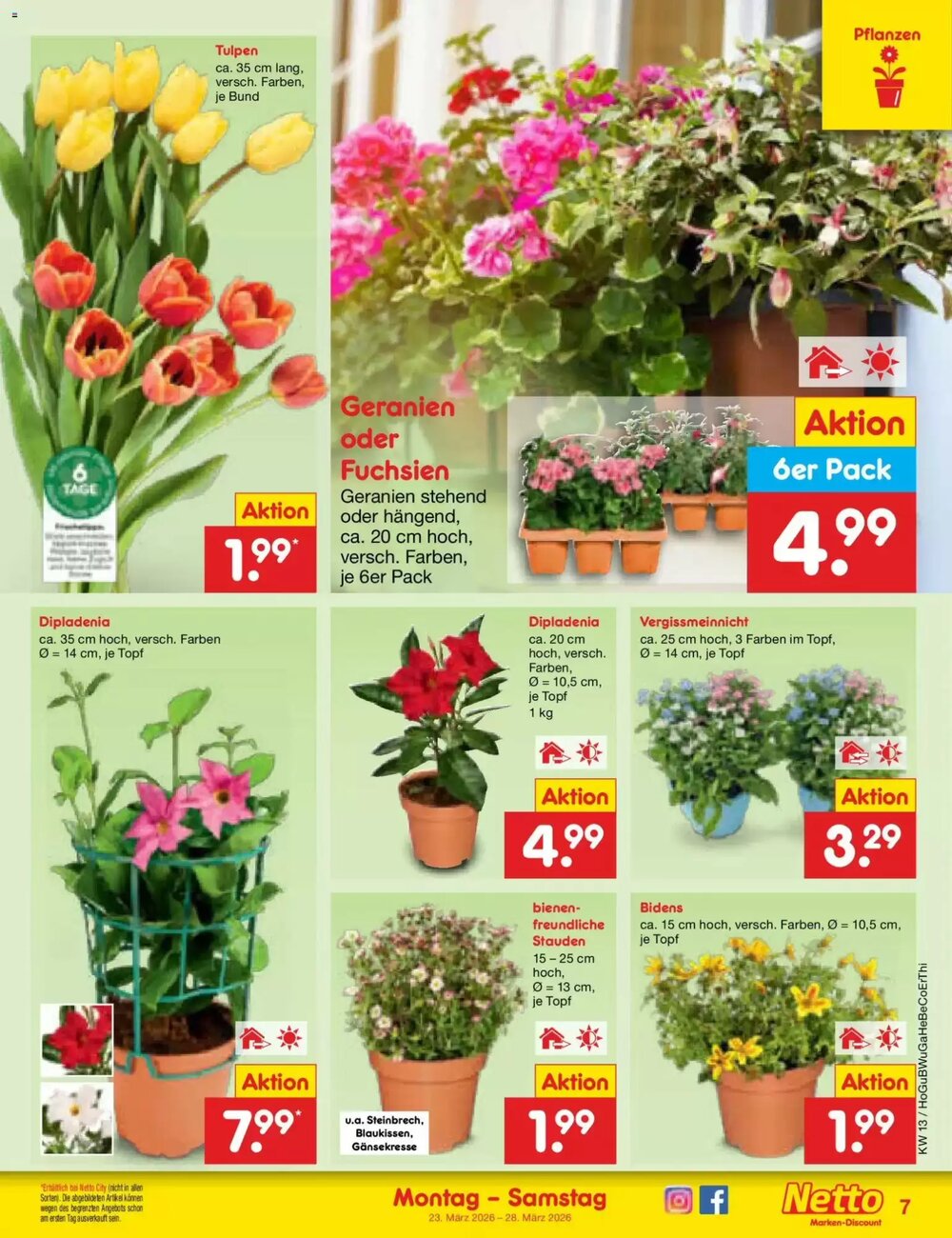 Netto Marken-Discount Prospekt (ab 23.03.2026) zum Blättern - Seite 7